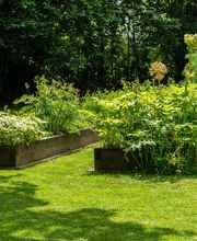 Agence Yellow image 2