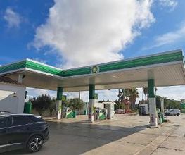 bp imagen 4