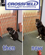 Crossfield Heating & Air Conditioning image 19