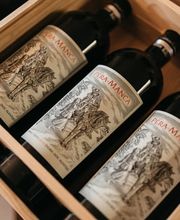 ALMEIDA WEINE GMBH Bild 12