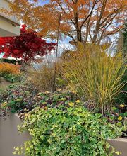 zehnder-garten GmbH Bild 4