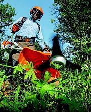 MF gebäudeservice Bild 4