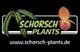 Schorsch Plants
