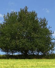 Landb Mech Bedr Bosgra BV Ruiterhuis