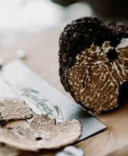 Il Bocconcino by Royal Hideaway imagen 13