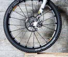 Fahrrad Schmalley Bild 3
