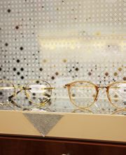 Vision Expert image 4