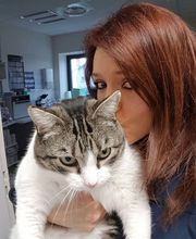 Cabinet Vétérinaire Karen Charlet image 3