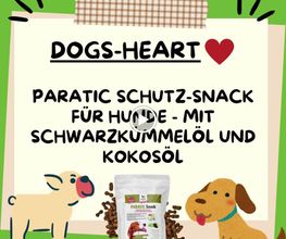 DOGS-HEART Bild 1