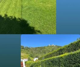 Traumplatz Garten- Gebäudemanagement Bild 4
