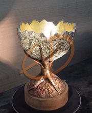 Dhellin Emmanuel image 8