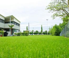 Ribi Gartenbau GmbH Bild 9
