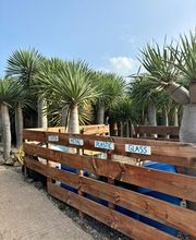 Agro Camping Invernaderito imagen 5