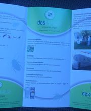 desinsect-04.jpg
