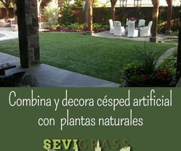 foto4sevigrass.jpg