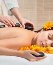 Eco- Finca Vistabonita imagen 7