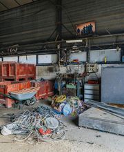 SEGF image 15