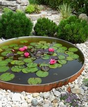 Bösiger Gartenbau AG Bild 8