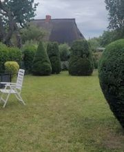 Alex Haus und Hofservice Bild 13