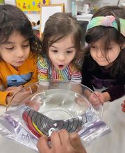 Alma Flor Ada Spanish Immersion Early Learning Academy image 6