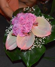 Ô des lys des fleurs image 12