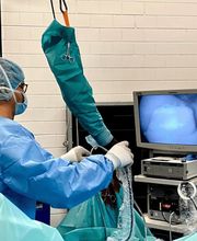 Pferdeklinik Thurland Bild 10