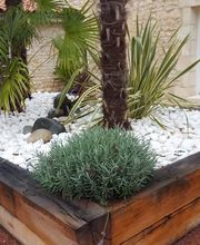 Espaces Verts Du Littoral image 5