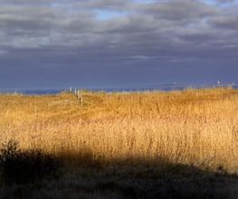 Beachhotel Cuxhaven Bild 5