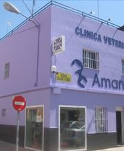 Clinica_Amantea_Badajoz.jpg