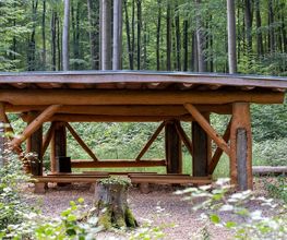 FriedWald Bernau bei Berlin Bild 8