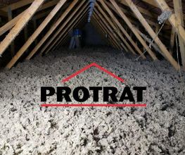 Protrat image 12