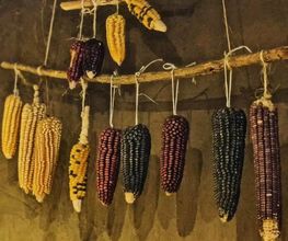 MIQUIZTLI - Cocina mexicana Bild 3