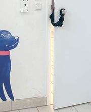 Medivet Tierarztpraxis Heidelberg Bild 1