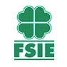 FSIE_LOGO.PNG