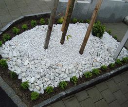 Krokus Gartenpflege GmbH Bild 3