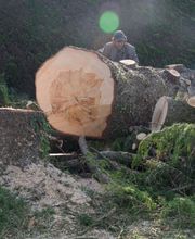 Le Clere Laurent image 11