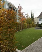 Wild Gartenbau AG Bild 4