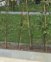 Bethge GmbH Metallbau Bild 4