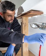 La compagnie des déboucheurs image 3