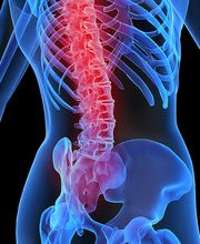 Medical Health Bild 3