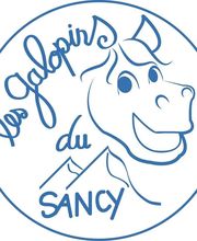 Galopins Du Sancy image 2