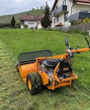 Gartenpflege & Landschaftspflege Sommer Bild 2