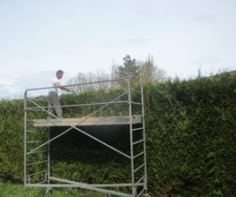 Espace Vert Mc image 7