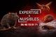 Expertise&Nuisibles