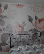 Lecomte Olivier image 6