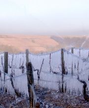 Agriservice Irrigation image 10