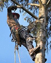 Sas Greve Julien image 1