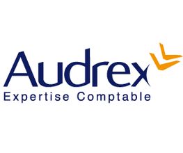 Audrex image 2
