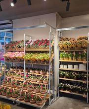 BLUME2000 München Pasing Bild 4