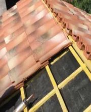 Mayer David image 14